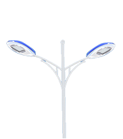 p·